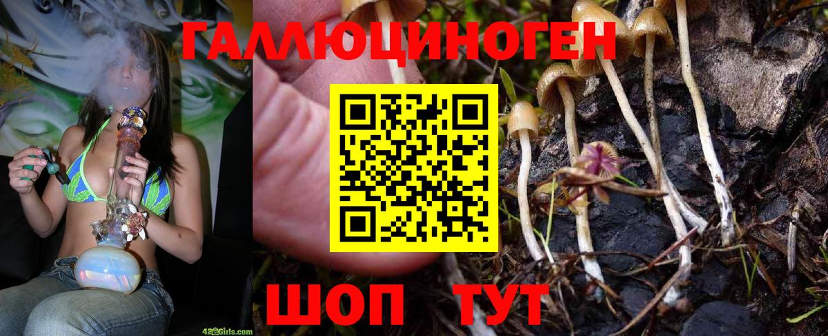 Галлюциногенные грибы Magic Shrooms  Вход с VPN  Энгельс  Галлюциногенные грибы Psilocybe 