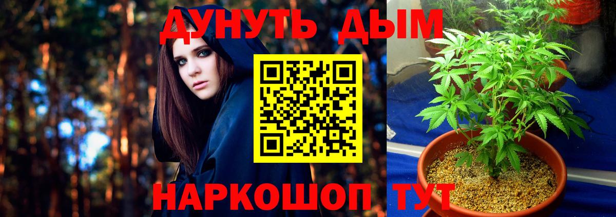 МАРИХУАНА SATIVA & INDICA  Каннабис семена  Вход с VPN  Энгельс 